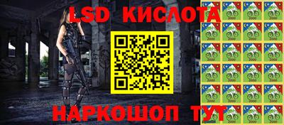 индика Пенза