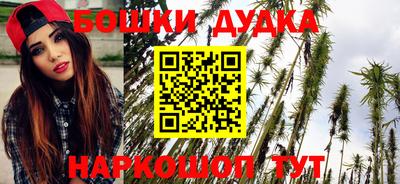 индика Пенза