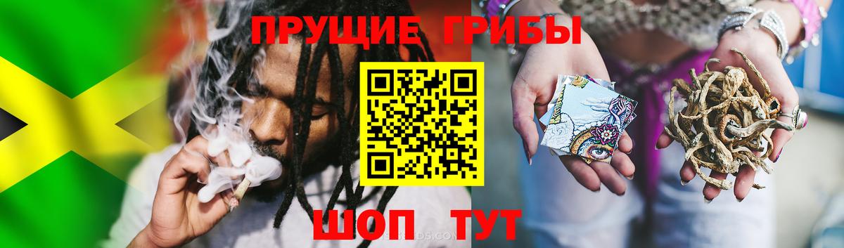 Галлюциногенные грибы MAGIC MUSHROOMS  Вход с VPN  Ростов Великий 
